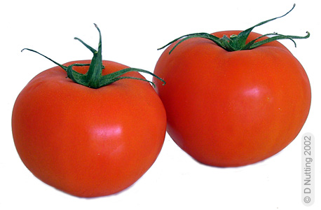 zwei Tomaten